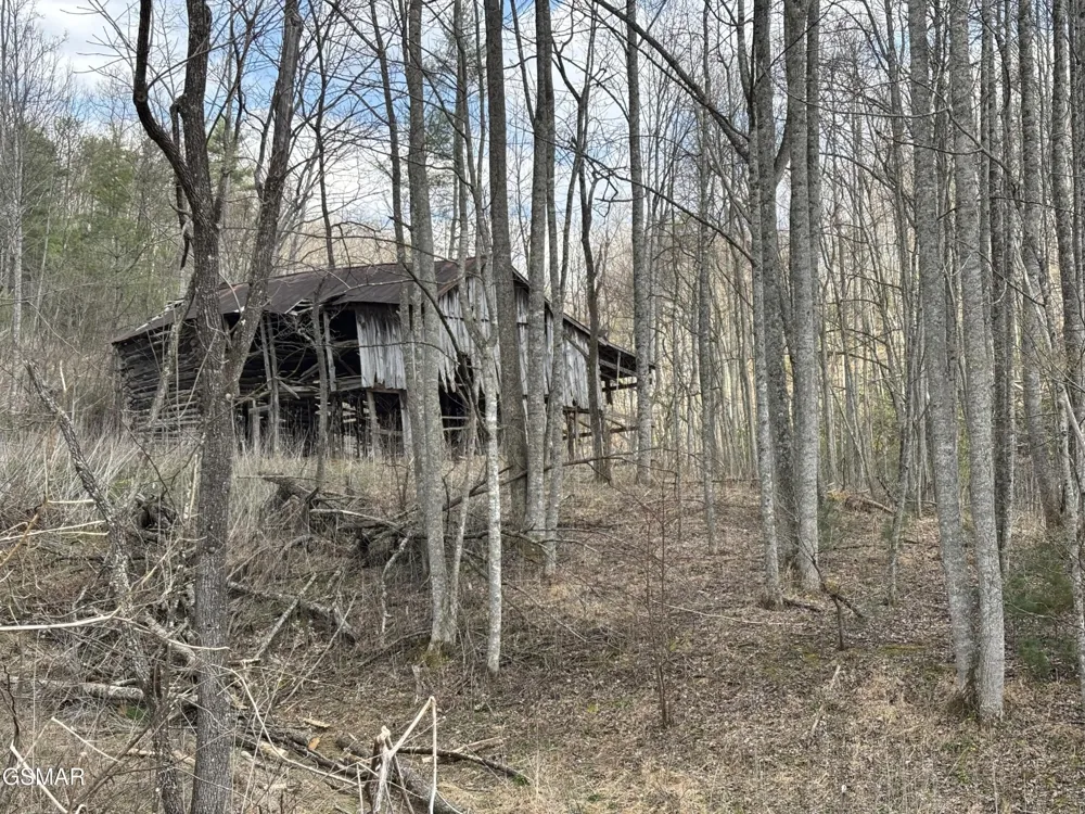 2 Bull Mountain Road Del Rio, TN 37727