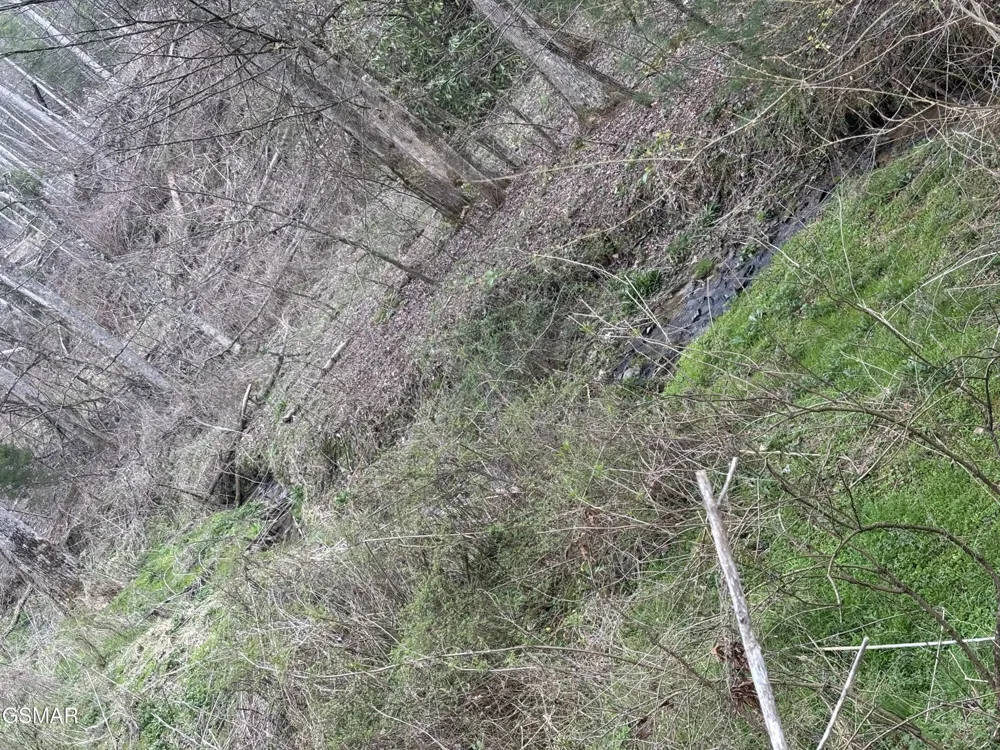 2 Bull Mountain Road Del Rio, TN 37727