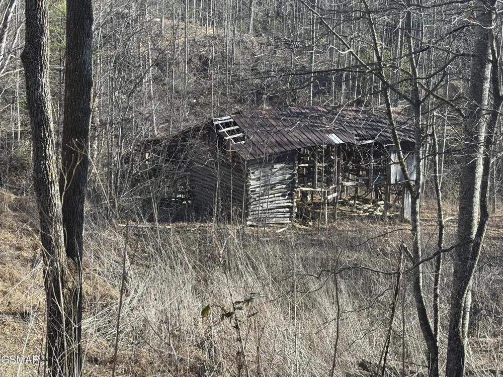 2 Bull Mountain Road Del Rio, TN 37727