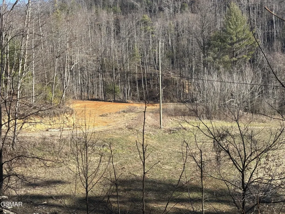 2 Bull Mountain Road Del Rio, TN 37727