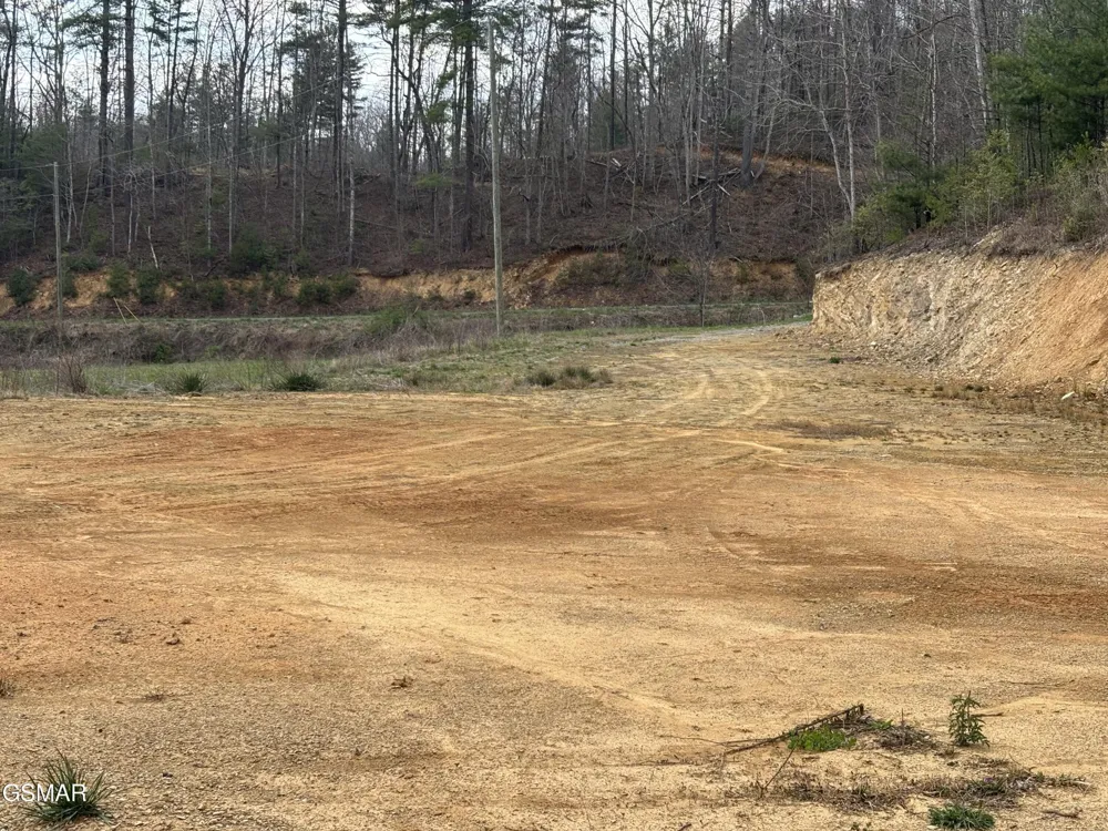 2 Bull Mountain Road Del Rio, TN 37727