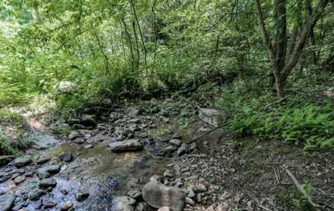 1120 Yellow Springs Road