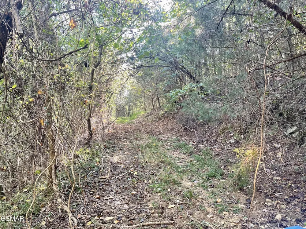 0 Thurman Road Newport, TN 37821
