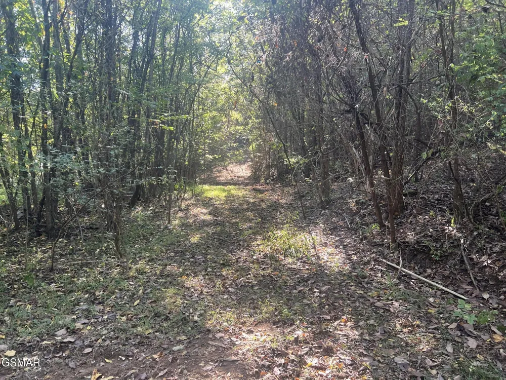 0 Thurman Road Newport, TN 37821