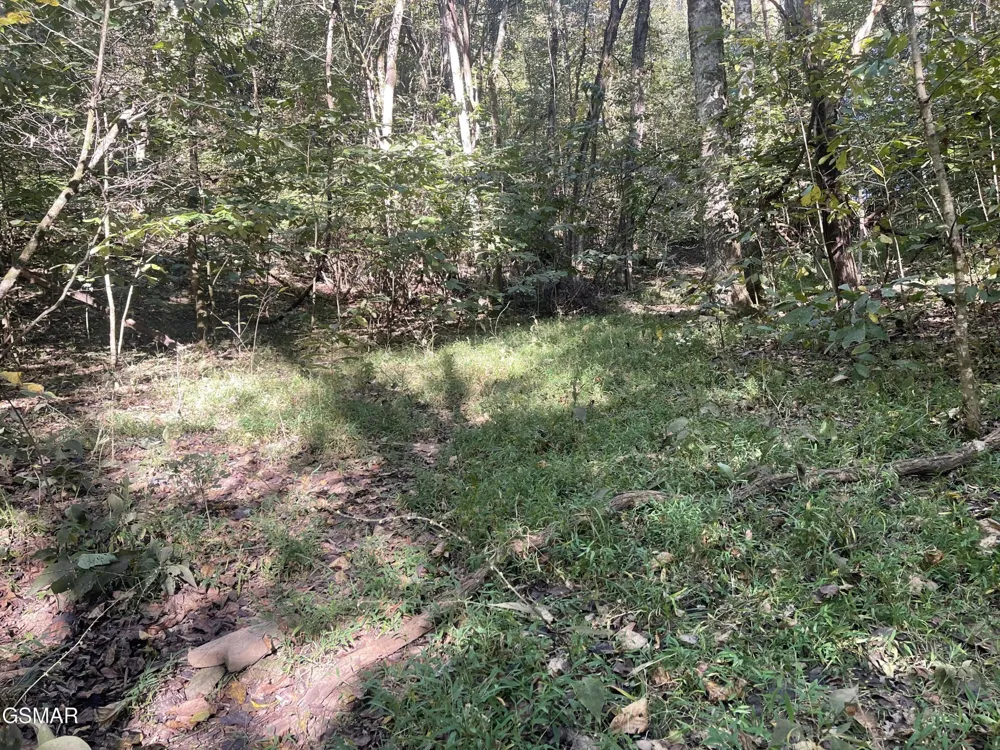 0 Thurman Road Newport, TN 37821