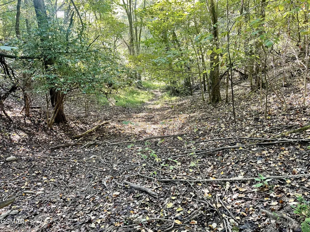 0 Thurman Road Newport, TN 37821