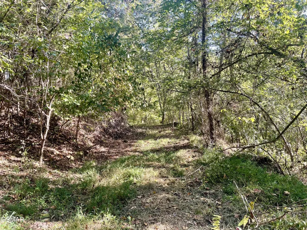 0 Thurman Road Newport, TN 37821