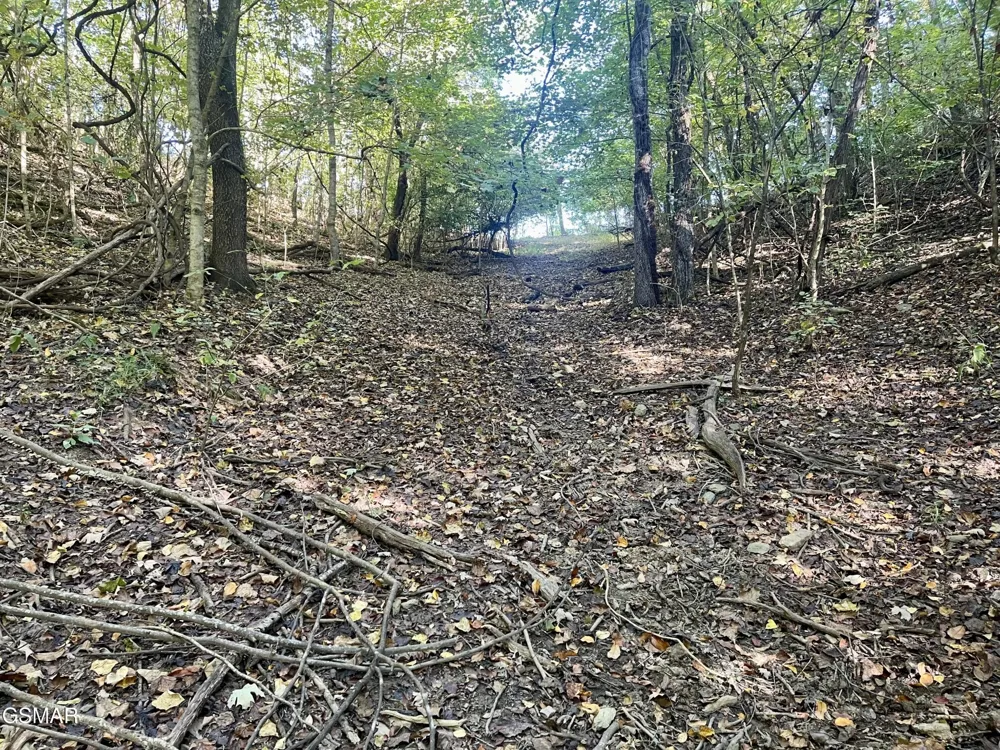 0 Thurman Road Newport, TN 37821
