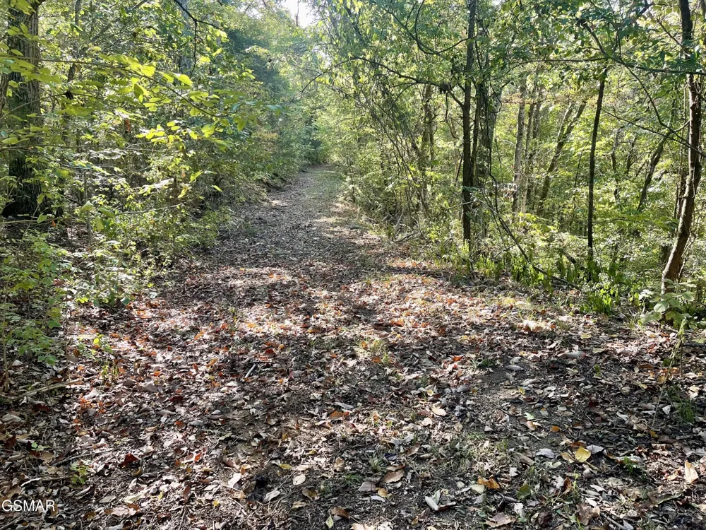 0 Thurman Road Newport, TN 37821