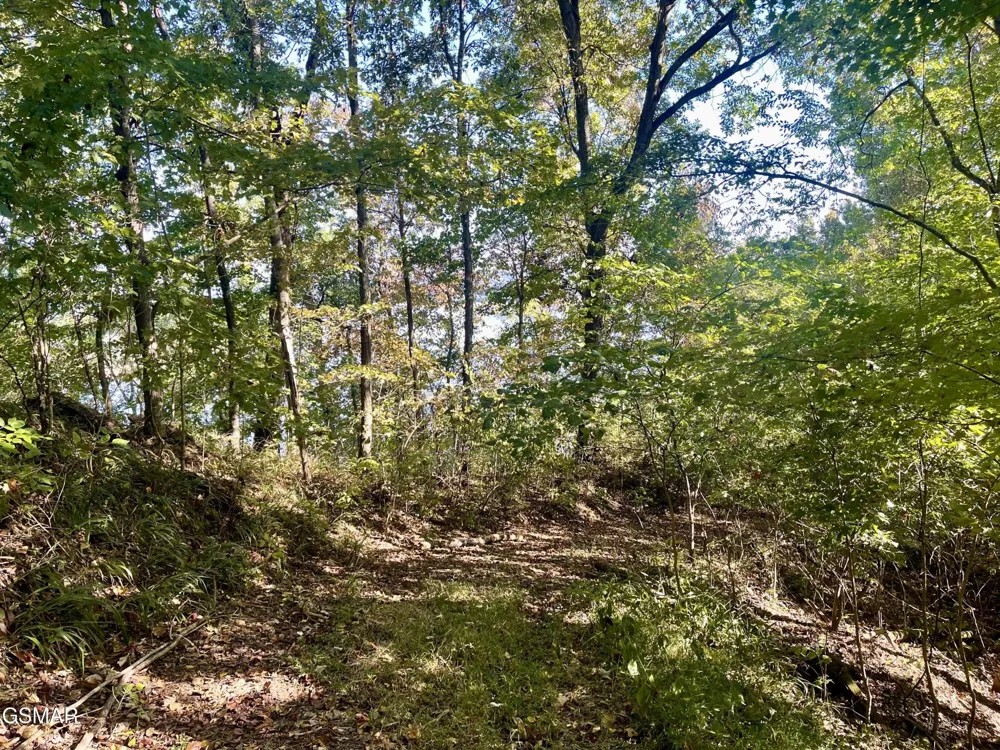 0 Thurman Road Newport, TN 37821
