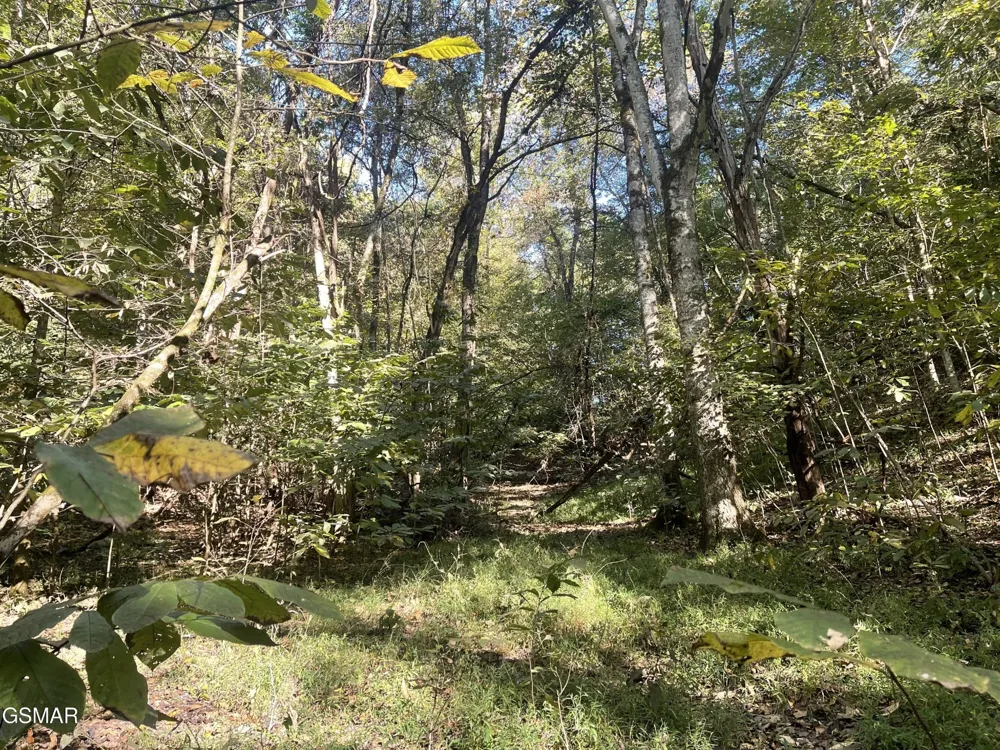 0 Thurman Road Newport, TN 37821