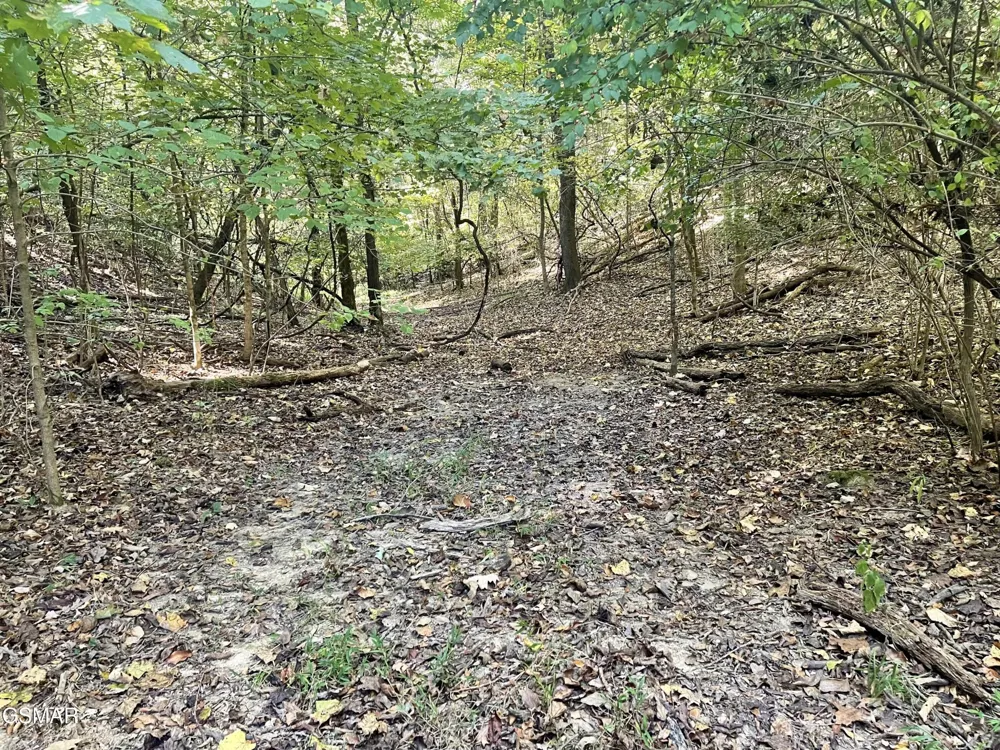 0 Thurman Road Newport, TN 37821