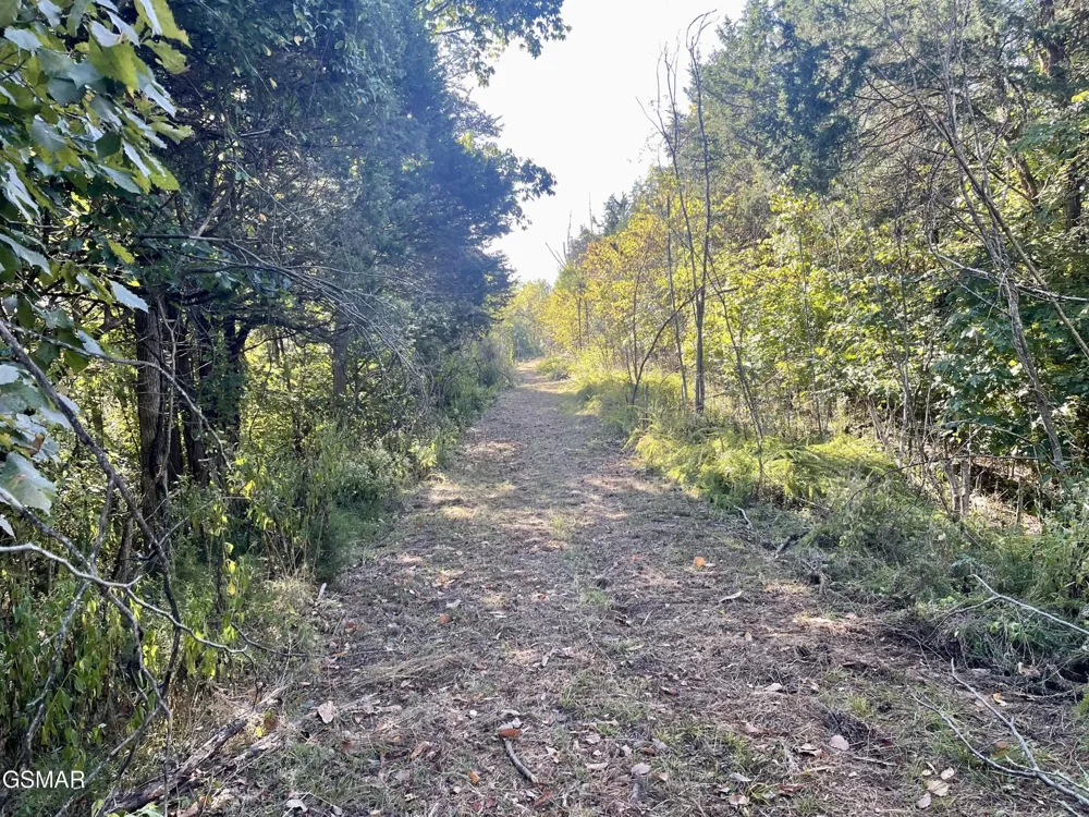 0 Thurman Road Newport, TN 37821