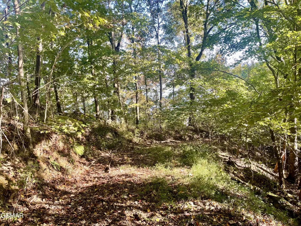 0 Thurman Road Newport, TN 37821