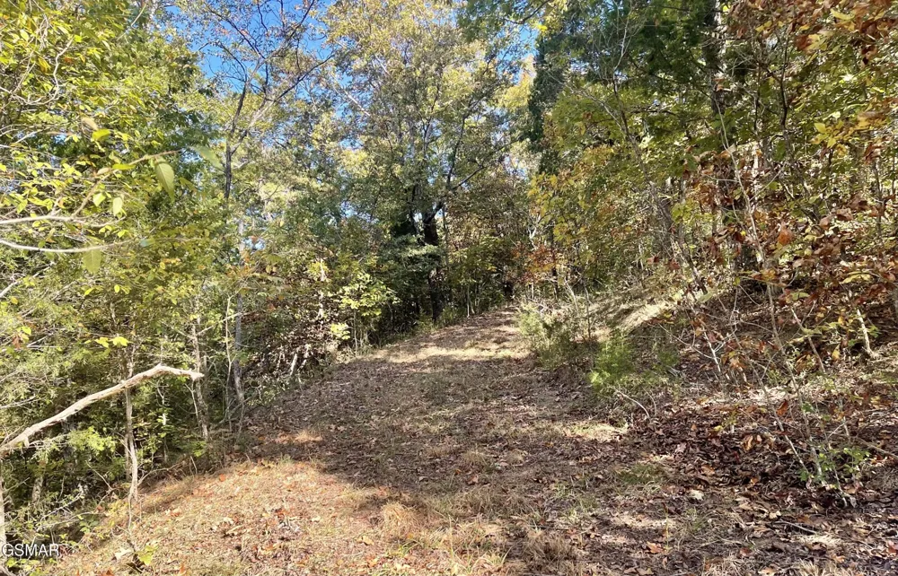 0 Thurman Road Newport, TN 37821