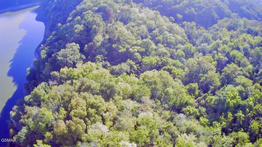 0 Thurman Road Newport, TN 37821