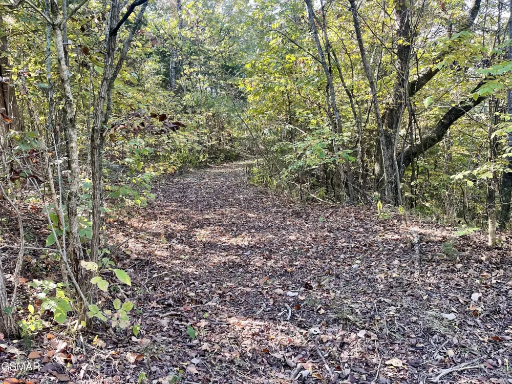 0 Thurman Road Newport, TN 37821