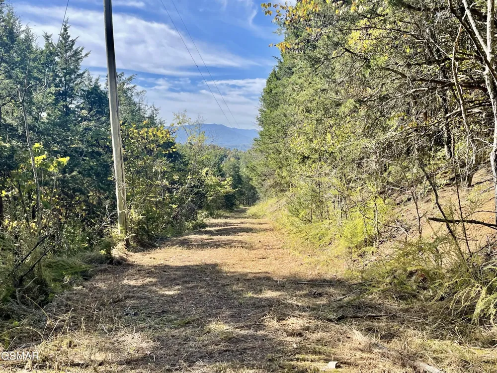 0 Thurman Road Newport, TN 37821