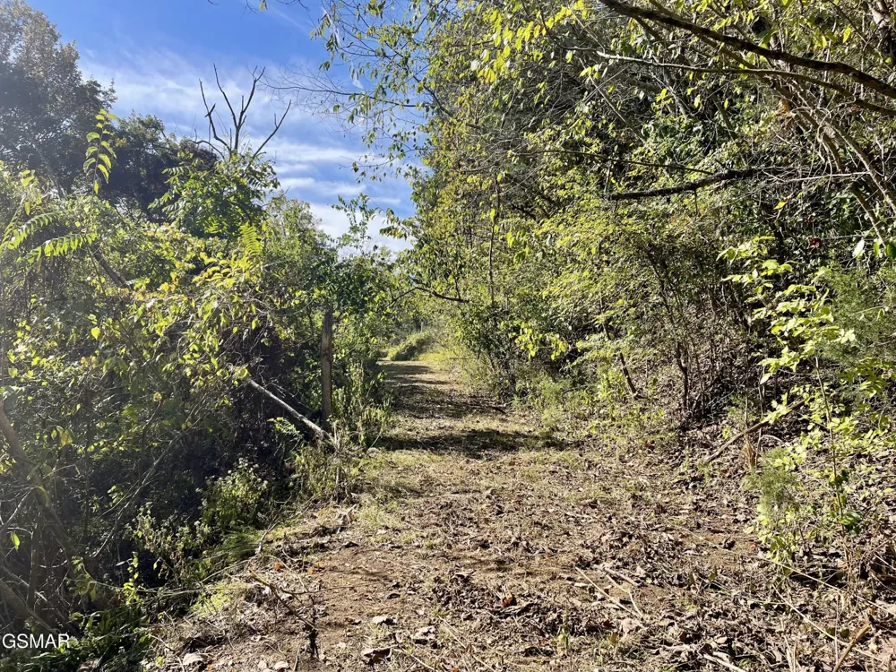 0 Thurman Road Newport, TN 37821