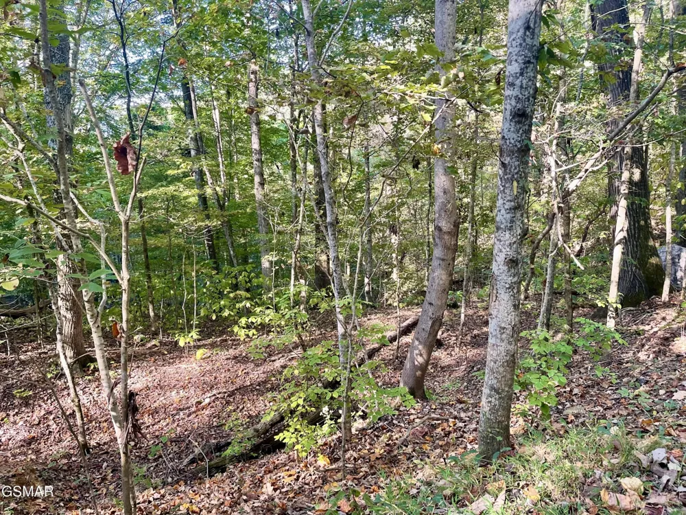 0 Thurman Road Newport, TN 37821