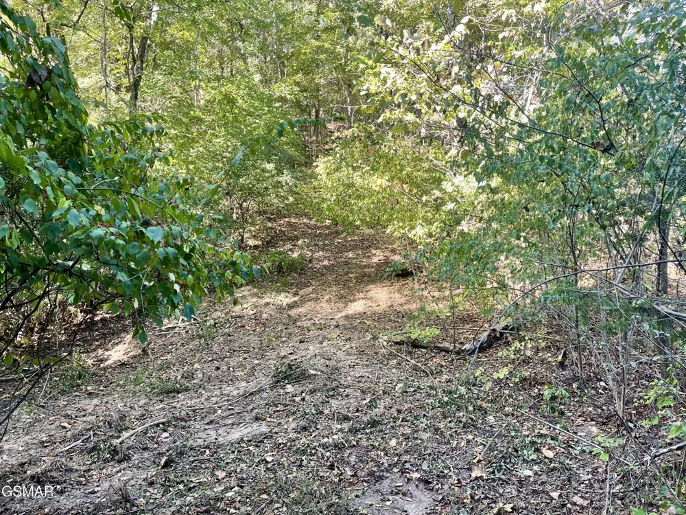 0 Thurman Road Newport, TN 37821
