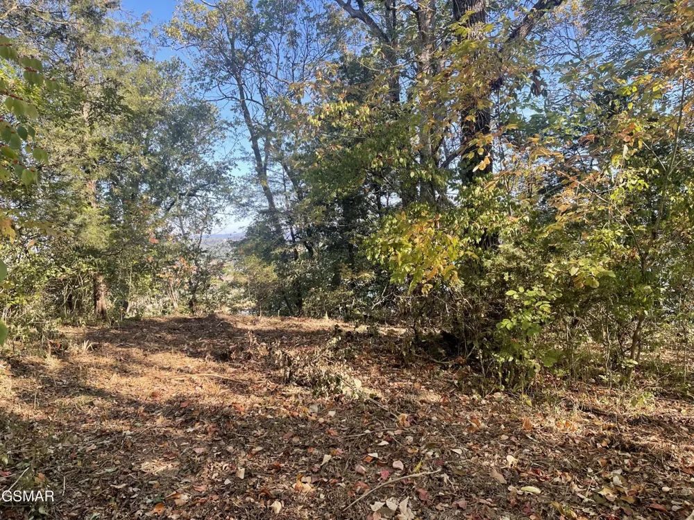 0 Thurman Road Newport, TN 37821