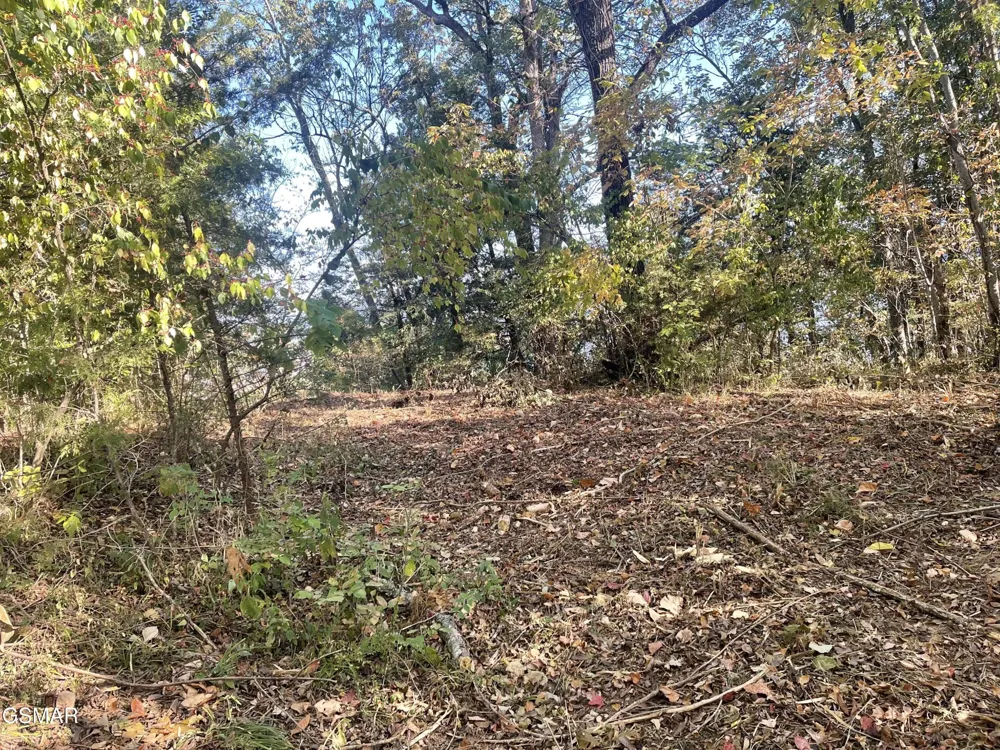 0 Thurman Road Newport, TN 37821