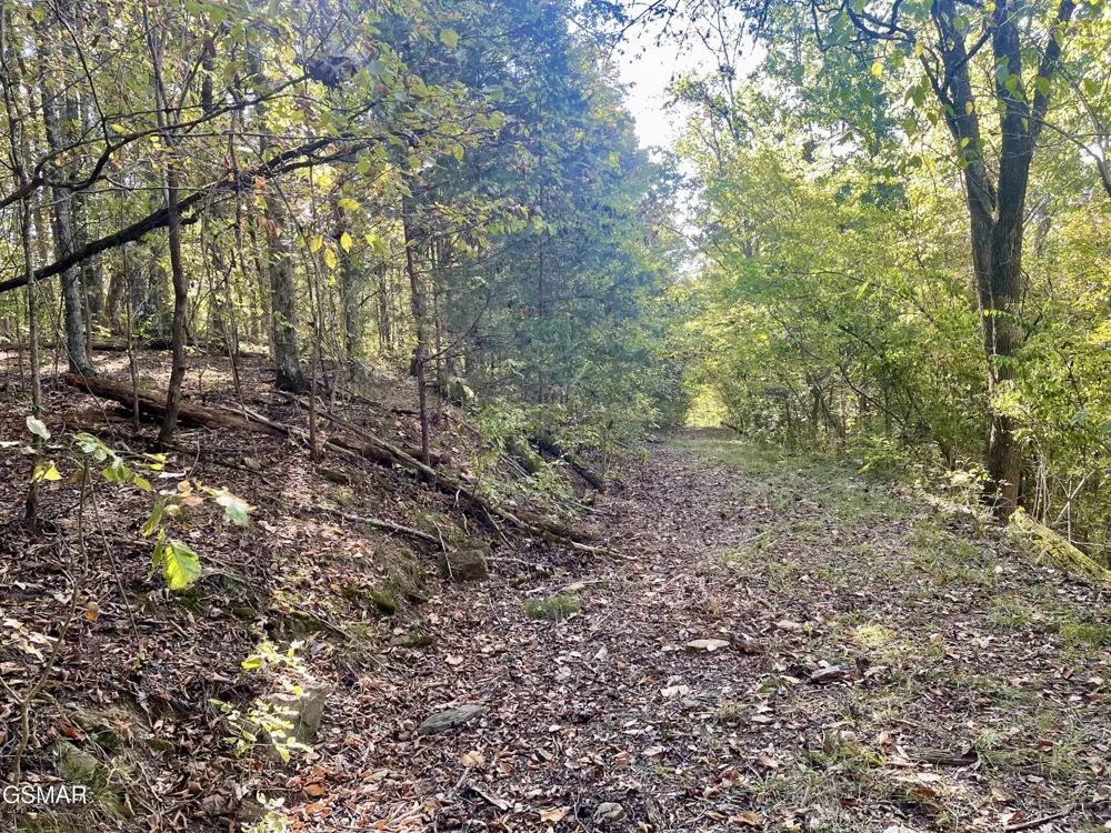 0 Thurman Road Newport, TN 37821