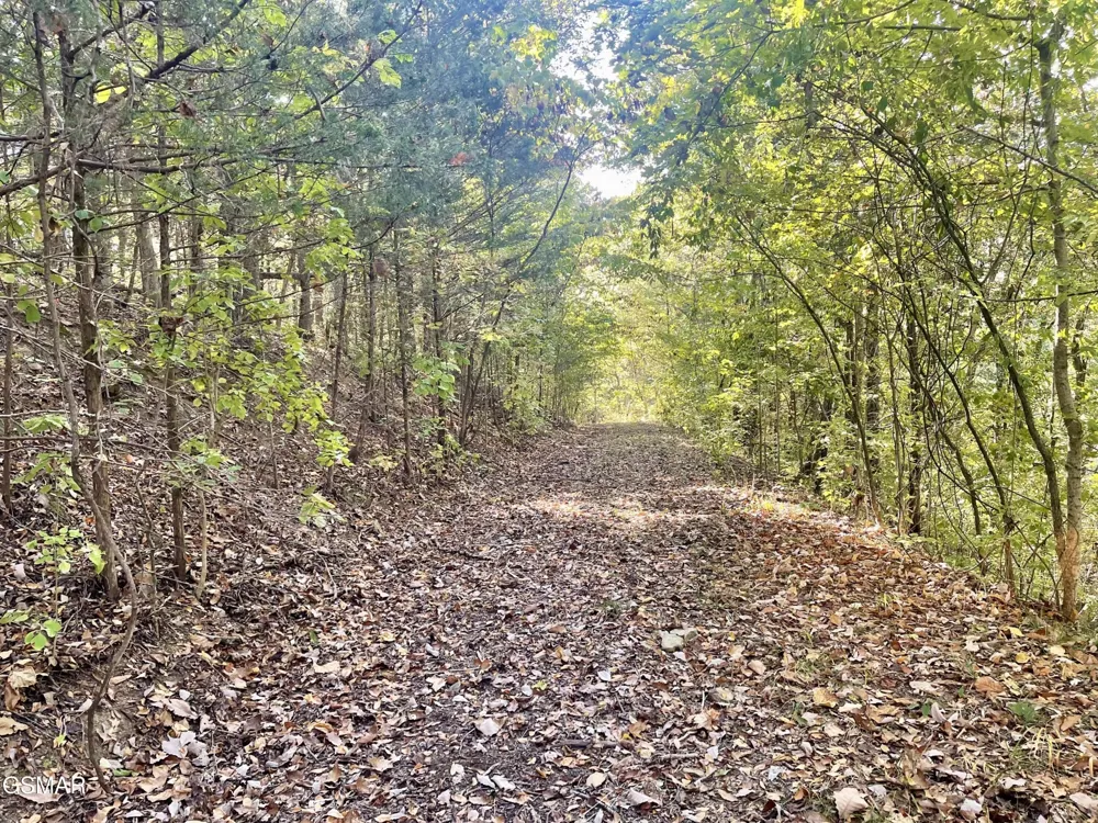 0 Thurman Road Newport, TN 37821