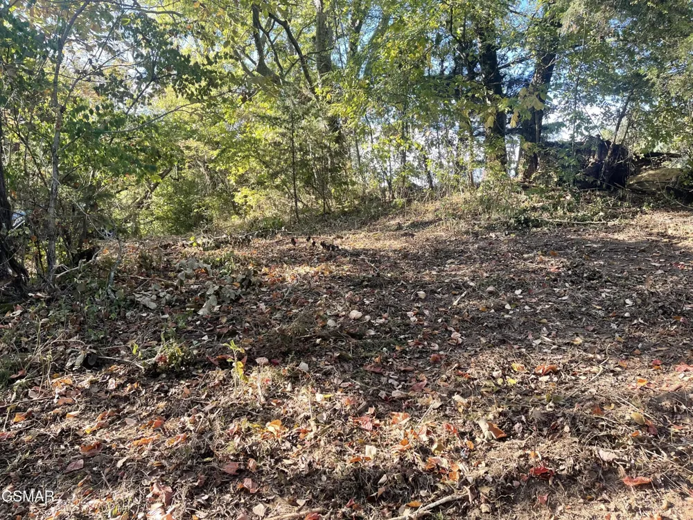0 Thurman Road Newport, TN 37821
