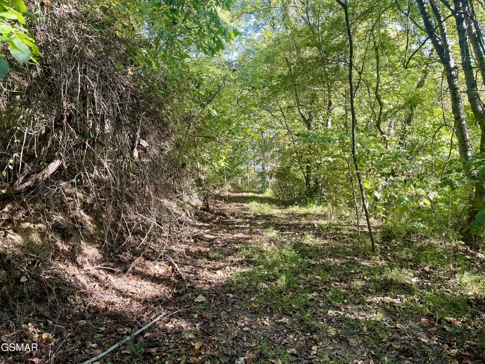 0 Thurman Road Newport, TN 37821