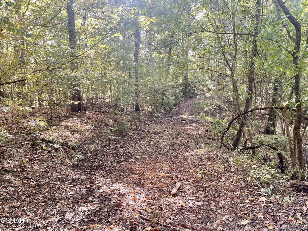0 Thurman Road Newport, TN 37821