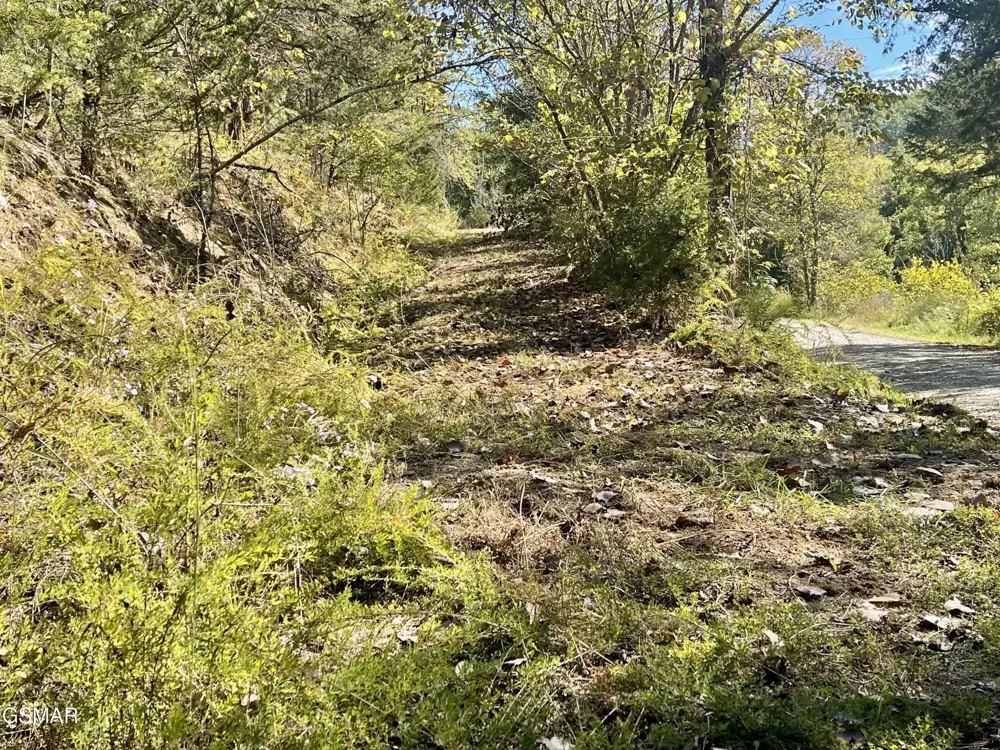 0 Thurman Road Newport, TN 37821