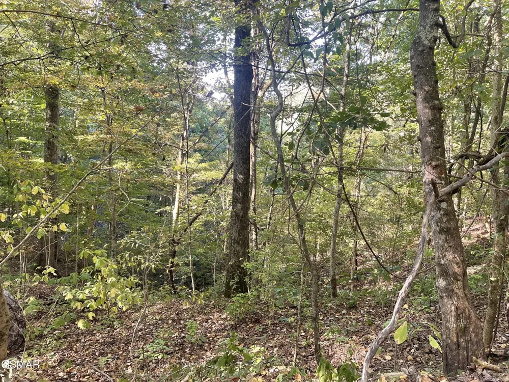 0 Thurman Road Newport, TN 37821