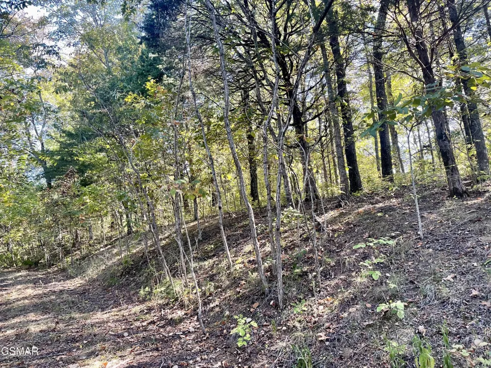 0 Thurman Road Newport, TN 37821