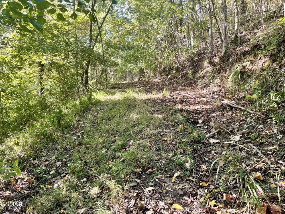 0 Thurman Road Newport, TN 37821