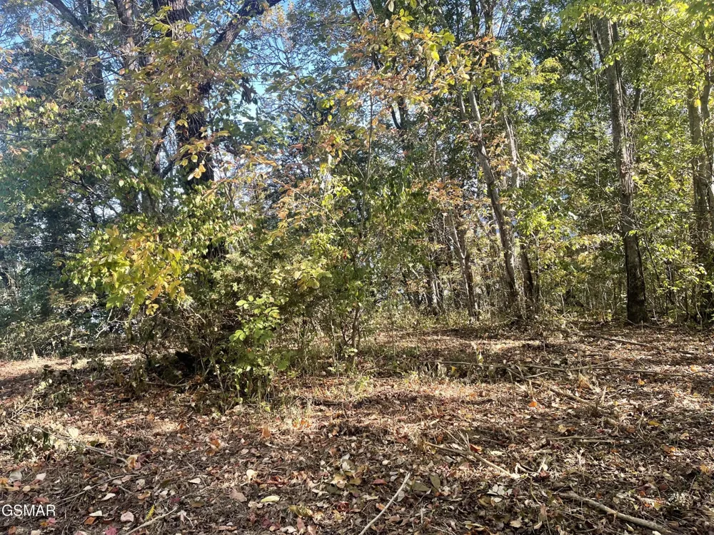 0 Thurman Road Newport, TN 37821