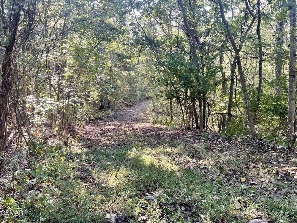 0 Thurman Road Newport, TN 37821