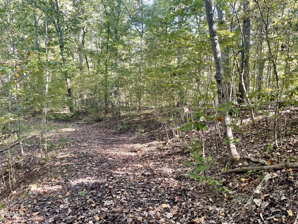 0 Thurman Road Newport, TN 37821