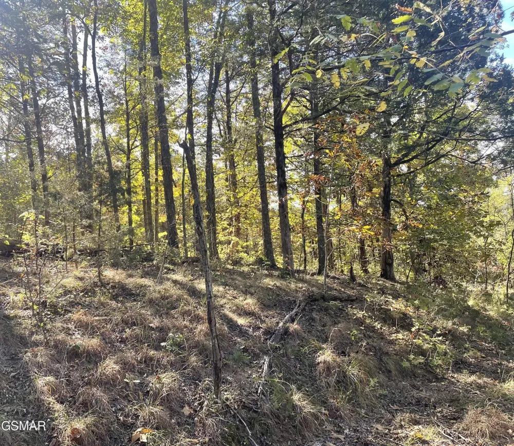 0 Thurman Road Newport, TN 37821
