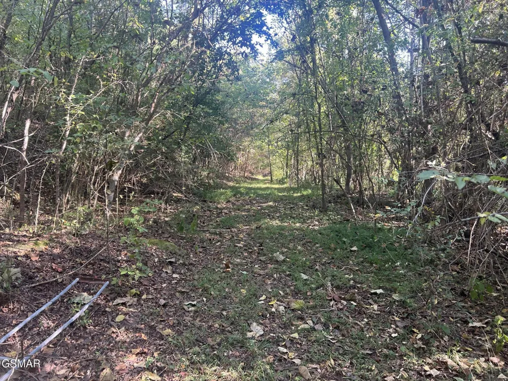 0 Thurman Road Newport, TN 37821