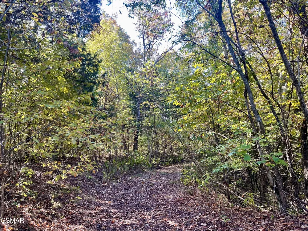 0 Thurman Road Newport, TN 37821