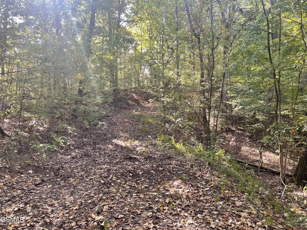 0 Thurman Road Newport, TN 37821