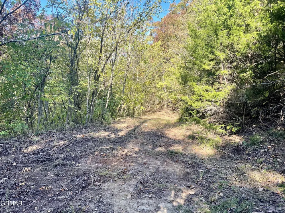 0 Thurman Road Newport, TN 37821