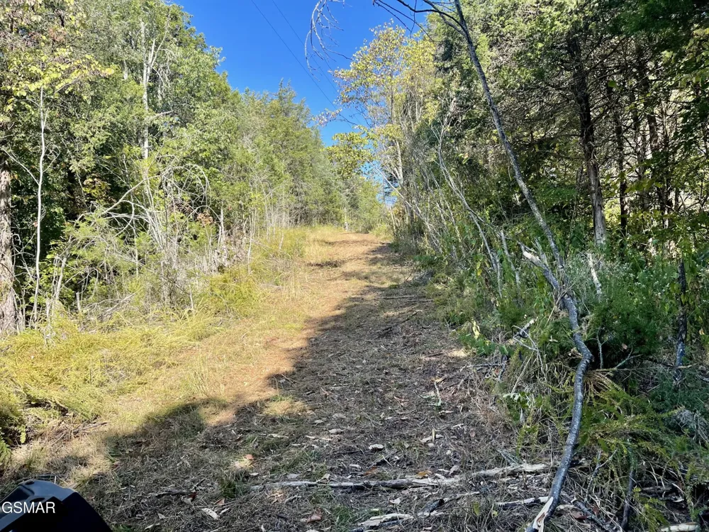 0 Thurman Road Newport, TN 37821