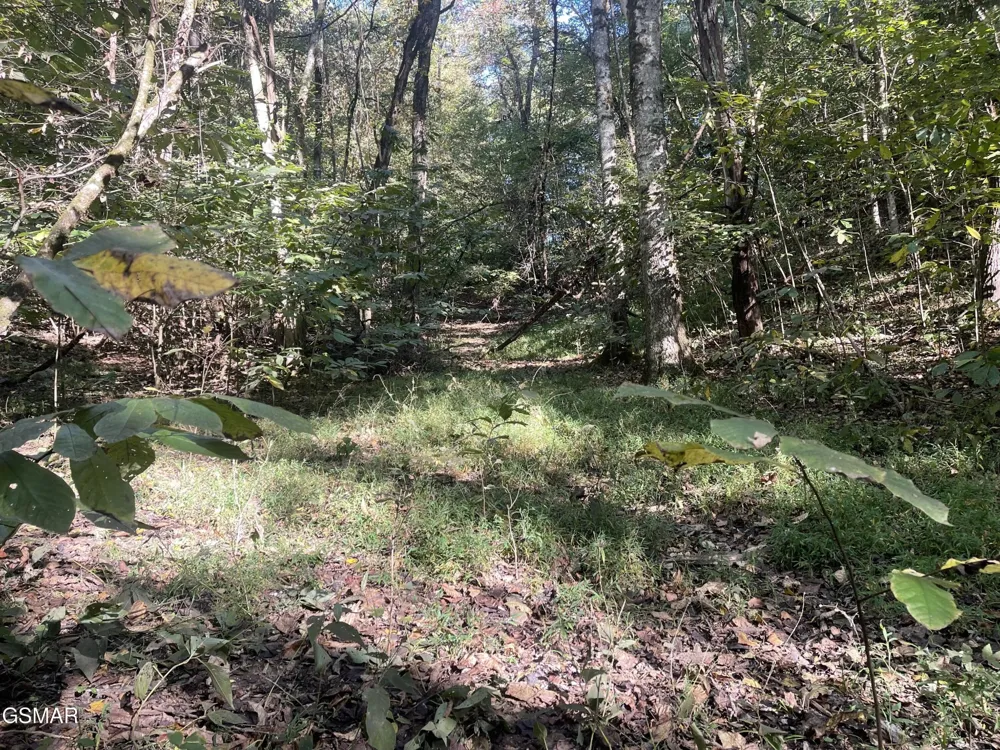 0 Thurman Road Newport, TN 37821