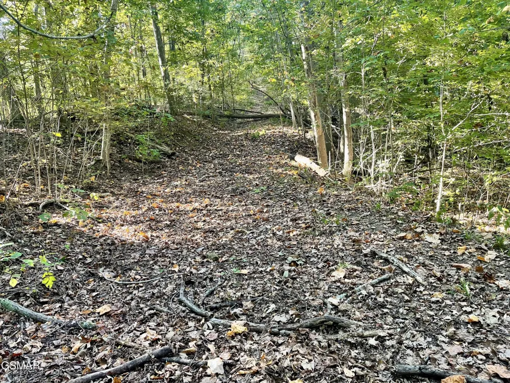 0 Thurman Road Newport, TN 37821