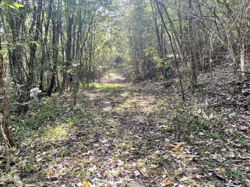 0 Thurman Road Newport, TN 37821