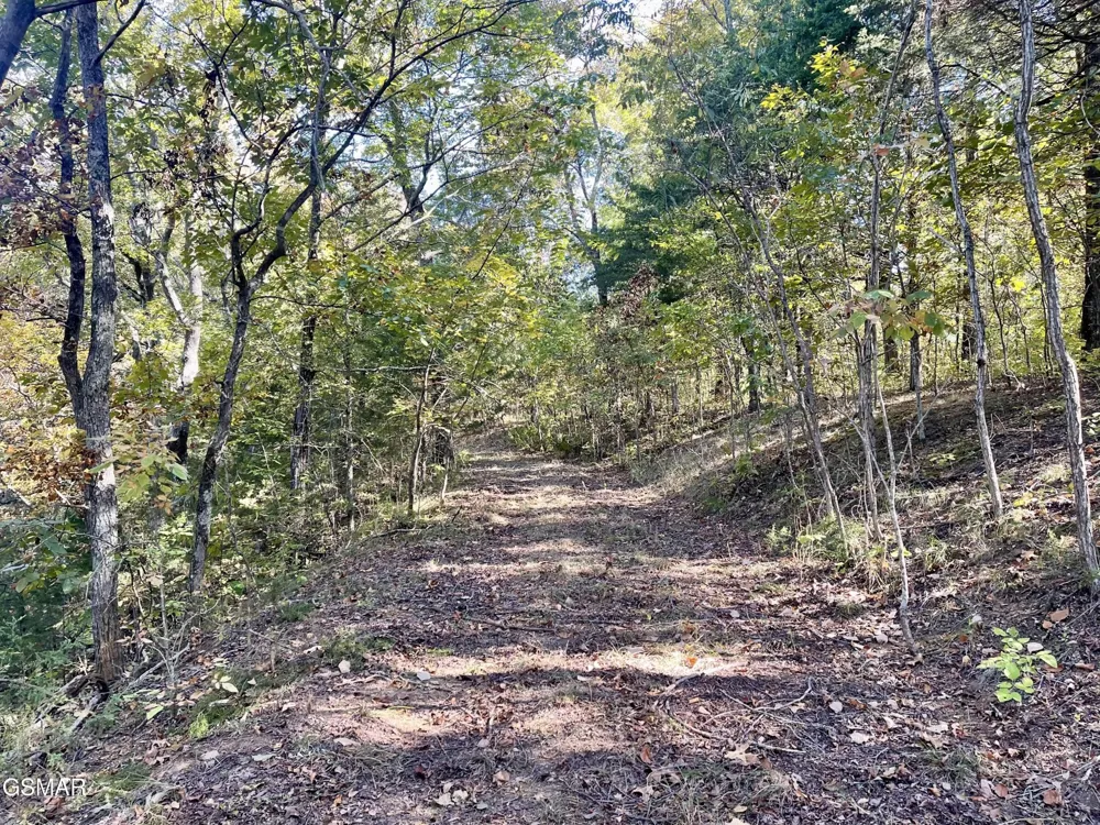 0 Thurman Road Newport, TN 37821