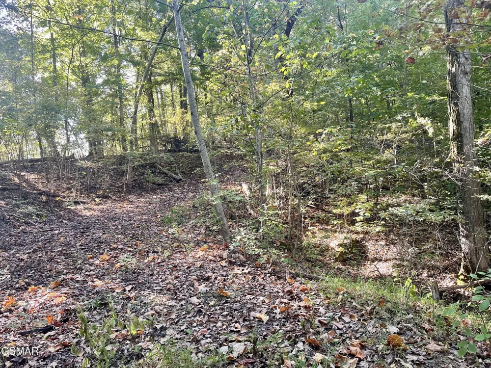0 Thurman Road Newport, TN 37821